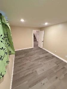 1 bedroom, 1 bathroom basement for rent - Photo 5