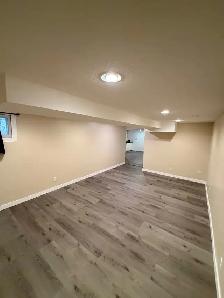 1 bedroom, 1 bathroom basement for rent - Photo 7