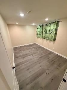 1 bedroom, 1 bathroom basement for rent - Photo 10