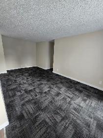 Beautifully Renovated 2 Bedroom in Waskasoo - Photo 3
