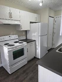 Beautifully Renovated 2 Bedroom in Waskasoo - Photo 4