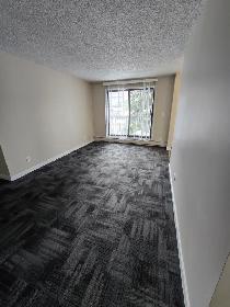 Beautifully Renovated 2 Bedroom in Waskasoo - Photo 8