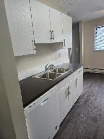 Beautifully Renovated 2 Bedroom in Waskasoo - Photo 10
