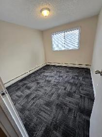 Beautifully Renovated 2 Bedroom in Waskasoo - Photo 11