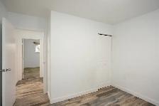 3Bed 2Bath Plus 2Dens House For Rent In Silver Heights - Photo 8