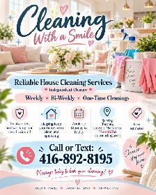 Residential cleaner