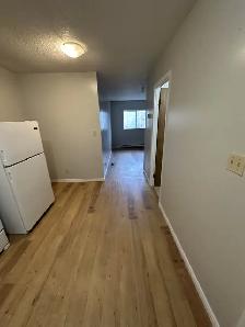 Bachelor Apartment Available Now in Minnow Lake Area - Photo 2
