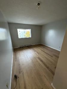 Bachelor Apartment Available Now in Minnow Lake Area - Photo 3