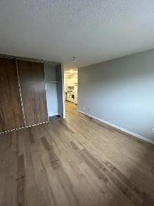 Bachelor Apartment Available Now in Minnow Lake Area - Photo 4