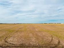 594.29 Acres | RM of Sherwood # 159 | Near Regina, SK - Photo 6