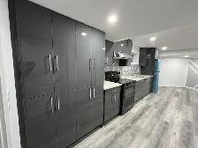 New Basement for Rent in Laurel