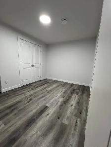 New Basement for Rent in Laurel - Photo 4