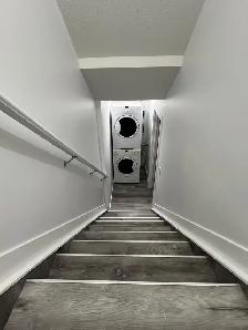 New Basement for Rent in Laurel - Photo 6