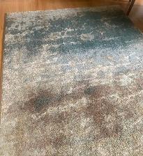 Area Rug - Photo 2