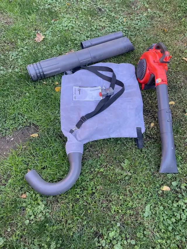 Leaf blower and vacuum