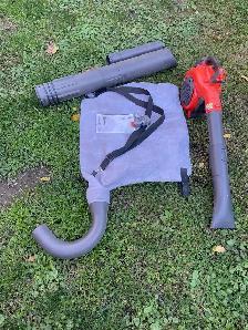 Leaf blower and vacuum