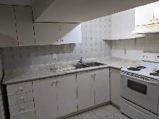 2 Bedroom basement apartment