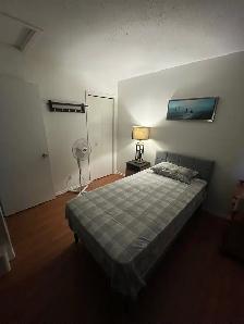 Chambre à louer/ Room for rent - Photo 2