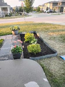 ✅ Digging Dirt To Lay New Rocks !! - Photo 2