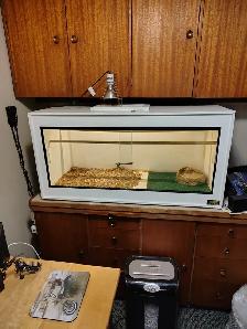 PVC Reptile Enclosure