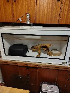 PVC Reptile Enclosure - Photo 2