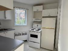3½ à louer – Rosemont (Victor-Bourgeau) – 1100$/mois - Photo 4