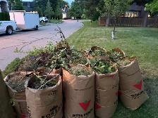 Cutting grass and the cleanup - Photo 6