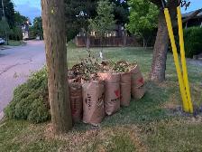 Cutting grass and the cleanup - Photo 7