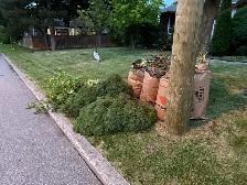 Cutting grass and the cleanup - Photo 8
