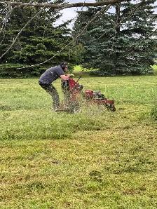Cutting grass and the cleanup - Photo 10