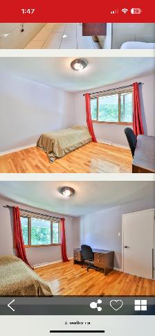 Room for Rent in large home DDO/ Chambre louer grand maison DDO - Photo 6