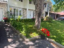 Room for Rent in large home DDO/ Chambre louer grand maison DDO - Photo 11