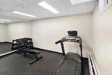 1 Bdm. Apartment for Rent in North York!  Bathurst and Rockford - Photo 11
