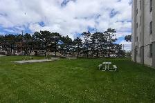 1 Bdm. Apartment for Rent in North York!  Bathurst and Rockford - Photo 14