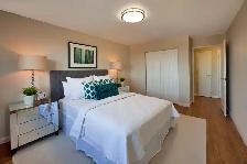 1 Bedroom Apartment for Rent in North St. Catharines! - Photo 8
