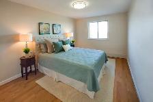 1 Bedroom Apartment for Rent in North St. Catharines! - Photo 9