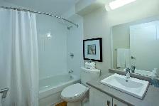 1 Bedroom Apartment for Rent in North St. Catharines! - Photo 10