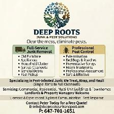 JUNK REMOVAL AND PEST CONTROL SERVICES - Photo 2
