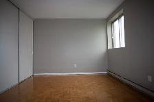 2 Bed 1 Bath, Close to Algonquin | Available November1 st - Photo 2