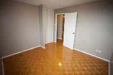 2 Bed 1 Bath, Close to Algonquin | Available November1 st - Photo 4