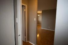 2 Bed 1 Bath, Close to Algonquin | Available November1 st - Photo 6