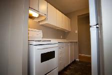 2 Bed 1 Bath, Close to Algonquin | Available November1 st - Photo 8