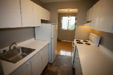 2 Bed 1 Bath, Close to Algonquin | Available November1 st - Photo 9