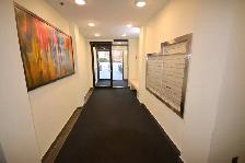2 Bed 1 Bath, Close to Algonquin | Available November1 st - Photo 16