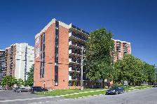 2 Bed 1 Bath, Close to Algonquin | Available November1 st - Photo 19