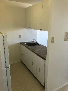 1 Bedroom - Wellington West - $1529   Hydro - December 1st! - Photo 5