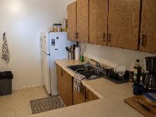1 Bedroom December 1st  2026 - starting at $1549 - Photo 4