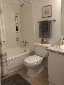 1 Bedroom December 1st  2026 - starting at $1549 - Photo 6