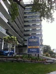 1 Bedroom - November 1 from $1499 - Photo 4