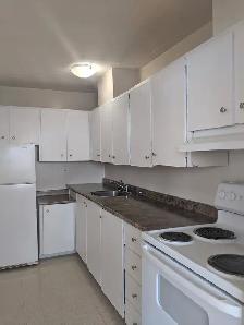 2 Bedroom Available, November $1699 - Photo 6